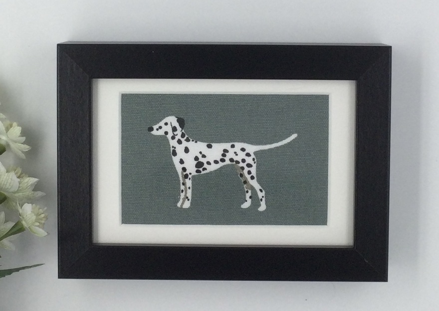 Dalmation
