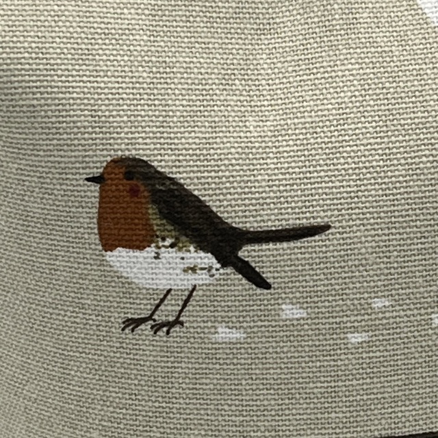 Robin1