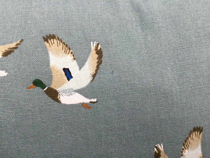 ef2a6ed5d3b81b19fa716f70fb282a85