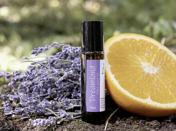 19e26beaf5553041803d44cf3c2ee7f0b2f79020