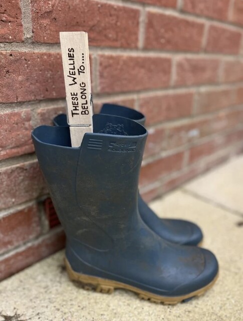 Welly